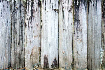 Wood Panel texture