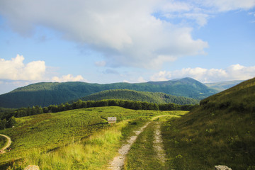 Fototapeta na wymiar Idyllic landscape of a path on the mountain, with green grass and blue sky in Bucegi, Romania