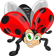 Obraz na płótnie Canvas cute ladybug cartoon