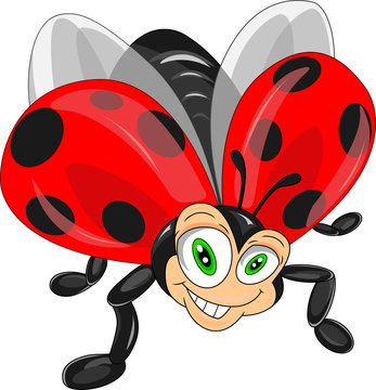 cute ladybug cartoon