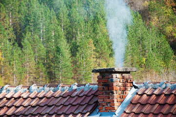 Smoking chimney at forest background