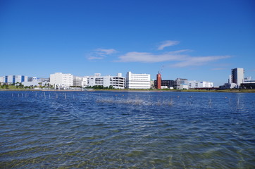 Naklejka premium 大田区の東京湾