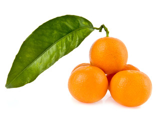 mandarine