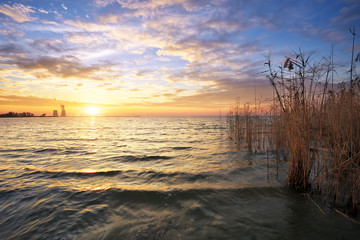 Beautiful landscape with reservoir, reeds and sunset sky