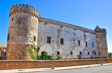Fototapeta na wymiar Ducal Castle of Torremaggiore. Puglia. Italy.