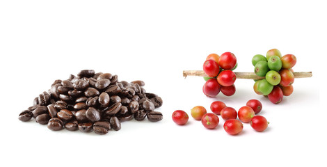 coffee beans isolated on white background
