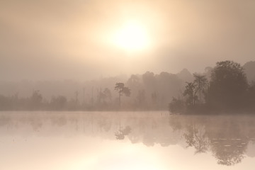 Obraz na płótnie Canvas misty autumn sunrise over forest lake