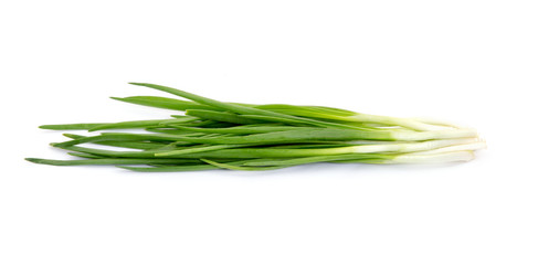 Fototapeta premium Green Onion on white background