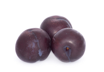 plum fruit