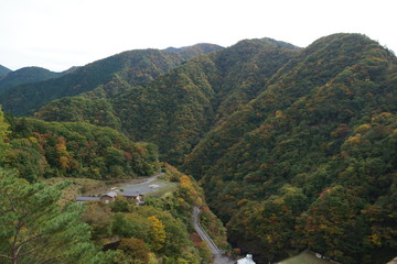 奥多摩の紅葉