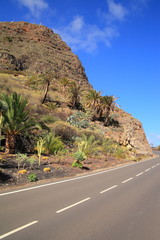 Canary Islands. Spain