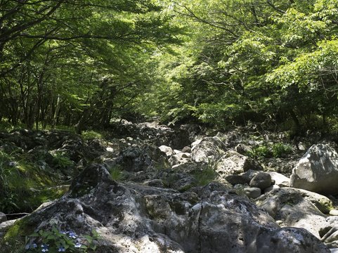 제주 안덕 계곡