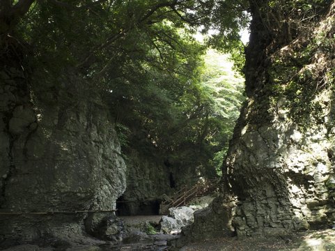 제주 안덕 계곡