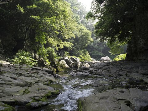 제주 안덕 계곡
