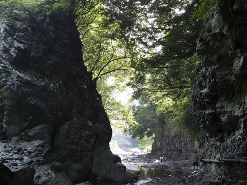 제주 안덕 계곡