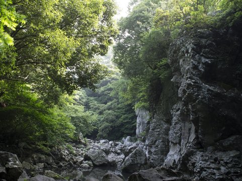 제주 안덕 계곡