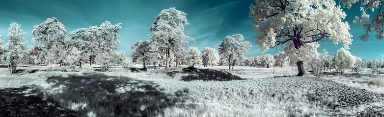 landscape in the infrared - 72668946