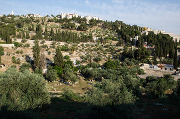 Obraz premium Berg bei Jerusalem, Israel