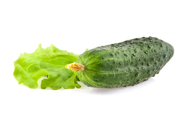 cucumber