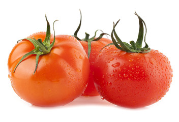 juicy tomatoes