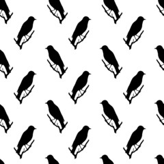 bird silhouette seamless pattern