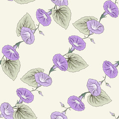 bindweed seamless pattern