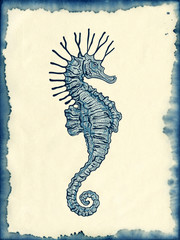 seahorse drawing on blotted background - 72671512