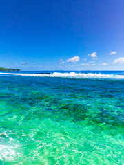 Obraz premium Tropical Summer Sea