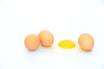 eggs
