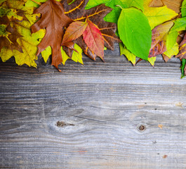 Autumn leaves over wooden background