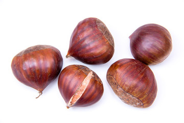 Chestnuts on a white background seen from above