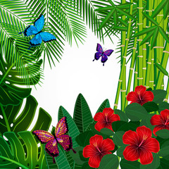 Tropical floral design background with butterflies.