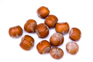 Hazelnuts on a white background seen from above