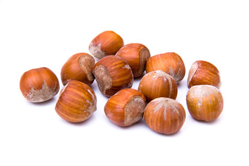 Hazelnuts on a white background seen from the front