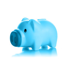 Blue piggy bank
