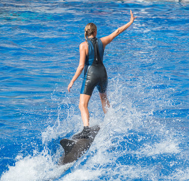 Woman-trainer riding on dolphin in water pool.