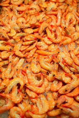 Pile of raw shrimps in fish market.