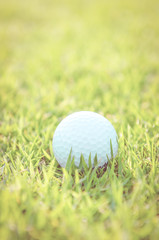 Golf ball on green grass