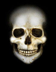 skull in the darkness colored