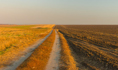 Fototapeta na wymiar Evening landscape with agricultural fields in Ukraine