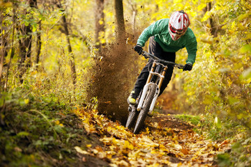 Obraz premium Mountainbiker rides in autumn forest