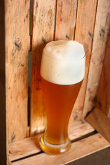 Wheat bear in a crate