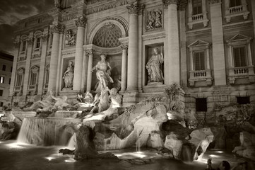 fontana de trevi blanco y negro