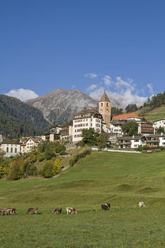 Ramosch