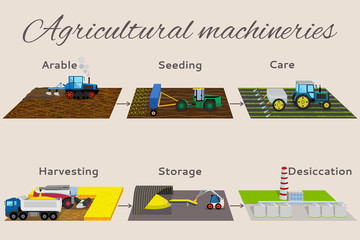 Illustration of the process of growing and harvesting crops.