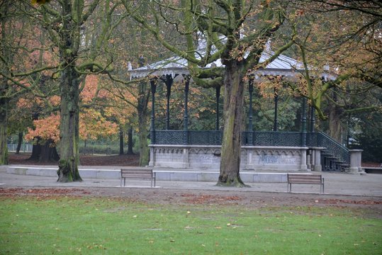 Fototapeta Park