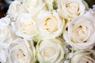 Obraz na płótnie Canvas white and wet roses