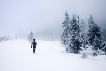 Photographer in foggy winter landscape