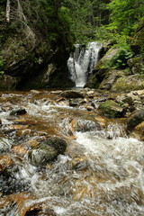 Cascade, Ruisseau de la clarianelle,Pyrénées