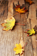 Naklejka na ściany i meble Beautiful autumn leaves on wooden background